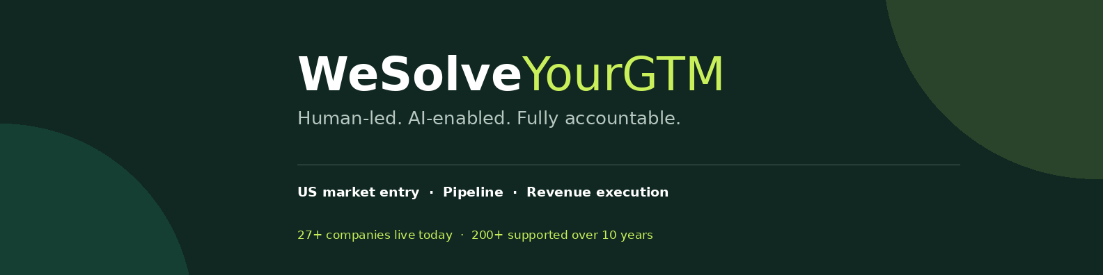 WeSolve Your GTM personal LinkedIn cover